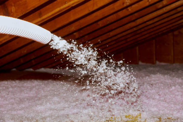 Best Insulation Maintenance and Repair in Sudan, TX
